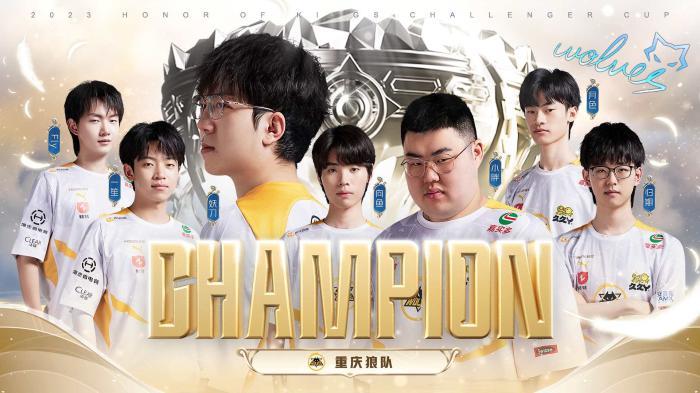 金牌完美收